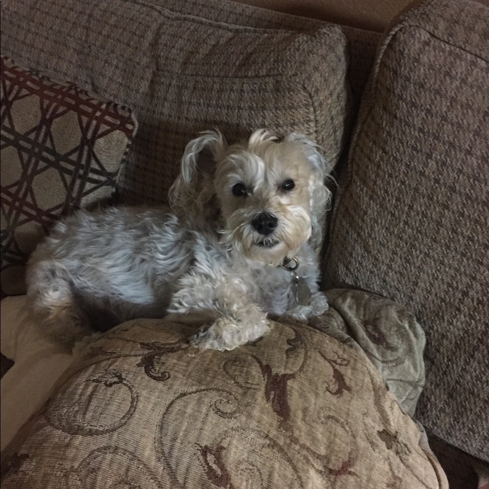 Meet your Posher, Connie